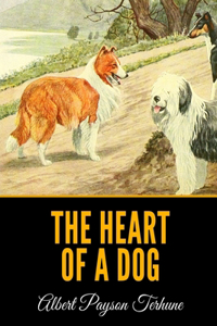 The Heart of a Dog