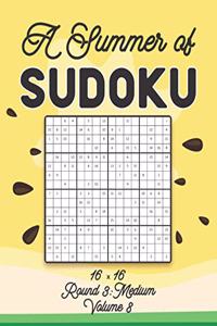 A Summer of Sudoku 16 x 16 Round 3
