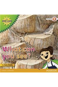 My Gulf World and Me Level 2 non-fiction reader: What can you see?