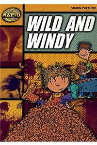 Rapid Reading: Wild and Windy (Stage 4, Level 4A)