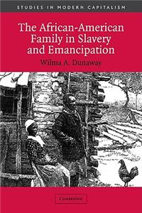 African-American Family in Slavery and Emancipation