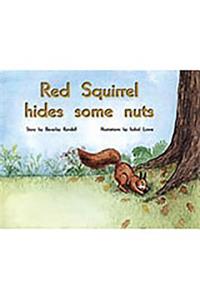Red Squirrel Hides Some Nuts
