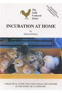 Incubation at Home