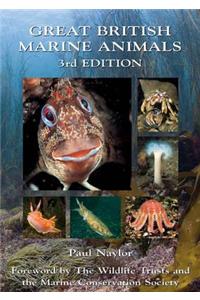 Great British Marine Animals