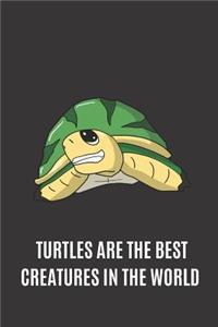 Turtles Are The Best Creatures In The World