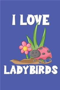 I Love Ladybirds