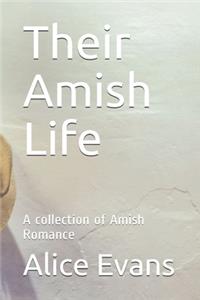 Their Amish Life