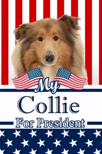 My Collie for President