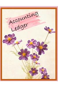 Accounting Ledger