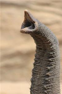 An Elephant Trunk Close-Up Animal Journal