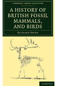 A History of British Fossil Mammals, and Birds