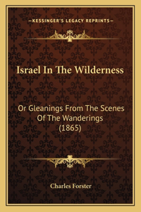 Israel in the Wilderness
