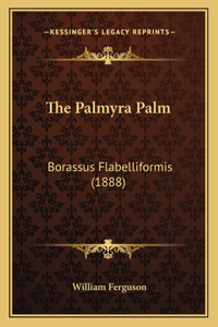 Palmyra Palm