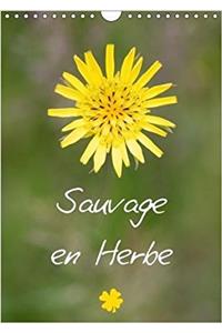 Sauvage En Herbe 2018