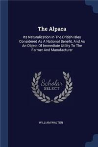 The Alpaca