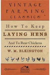 How to Keep Laying Hens and to Rear Chickens