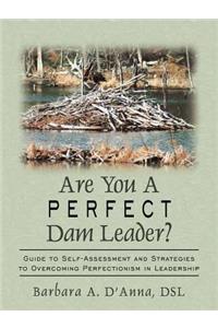 Are You A Perfect Dam Leader?