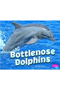 Bottlenose Dolphins