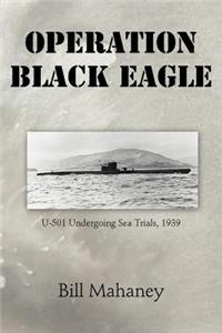 Operation Black Eagle