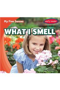 What I Smell
