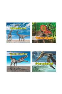 All about Dinosaurs