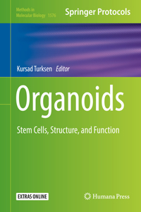 Organoids