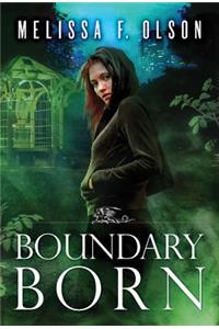 Boundary Born