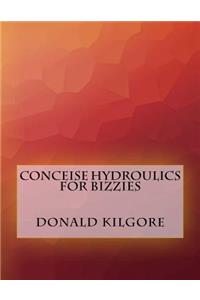 Conceise Hydroulics For Bizzies