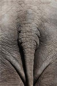 MindBlowing Elephant Journal 3