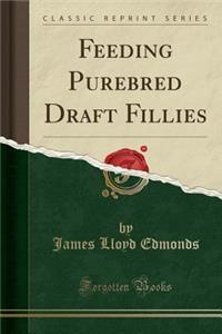 Feeding Purebred Draft Fillies (Classic Reprint)