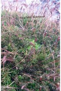 Your Mini Notebook! Vol. 25