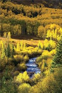 Mountain Stream and Aspen Trees in Autumn Journal