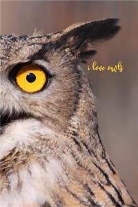 I Love Owls