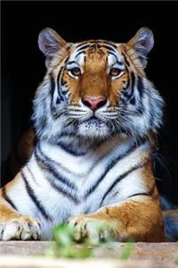 Tiger Any Day Planner Notebook