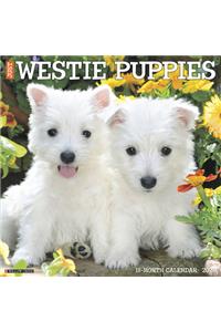 Just Westie Puppies 2020 Wall Calendar (Dog Breed Calendar)