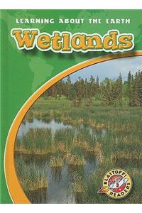 Wetlands