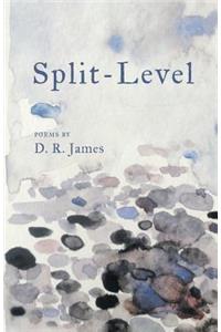 Split-Level