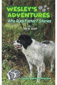 Wesley's Adventures
