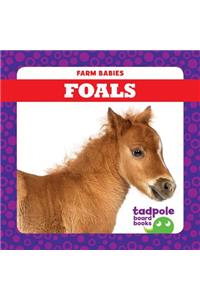 Foals