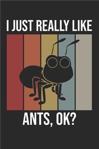 I Just Really Like Ants, OK?