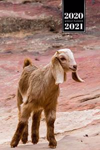 Goat Farmer Farming Herder Goatherd Week Planner Weekly Organizer Calendar 2020 / 2021 - First Steps
