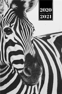 Zabra Safari Africa Savannah Week Planner Weekly Organizer Calendar 2020 / 2021 - Black and White