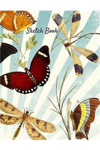 Sketch Book