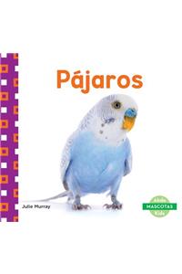 Pájaros (Birds)