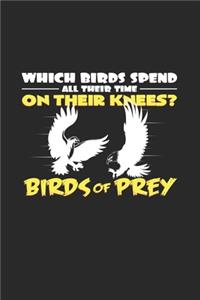 Birds of prey