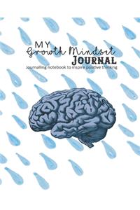 My growth mindset journal