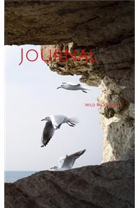 Journal