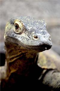 The Komodo Dragon Journal