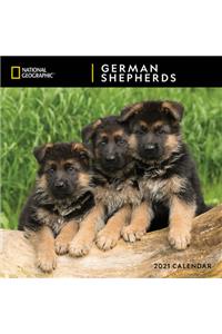 Cal 2021- Ng German Shepherds Wall