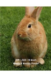 2019 - 2020 18 Month Weekly & Monthly Planner